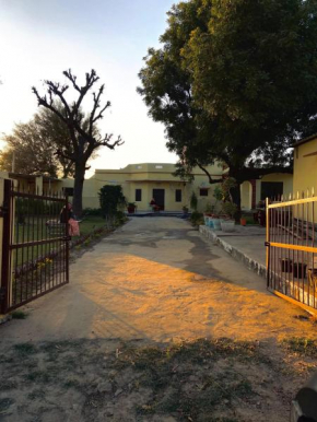 Pili kothi farms